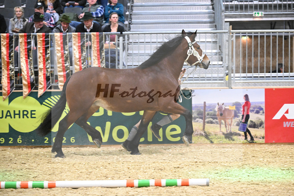 Kat-Nr. 26 Finerl v. Rissbach_Rasshofer_1260381 | hf-fotografie - Realisiert mit Pictrs.com