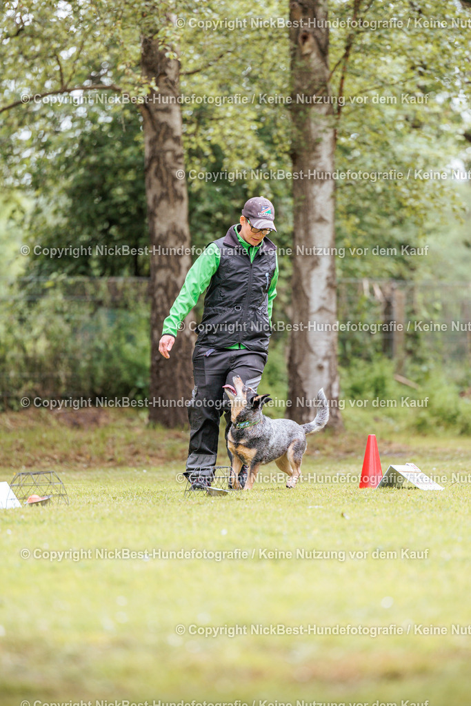 RO-Blumenthal-2026-Nickbest-Hundefotografie-1777 | Dein Hund! Dein Moment! Deine Erinnerungen! Hundefotografie in Bremen Blumenthal. Ich fange die besonderen Momente deines Vierbeiners ein – ob Indoor mit Blitzanlage oder in der freien Natur. Sicher dir dein Moment und dein Termin für eure Erinnerungen.