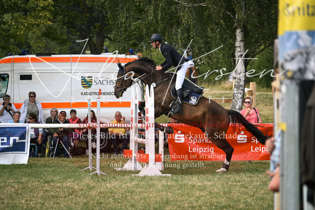 DSC_0836 | Pferde- und Turnierfotografie in Westsachsen. Pferdeportraits, Auftragszeichnungen und intuitive Kunst.