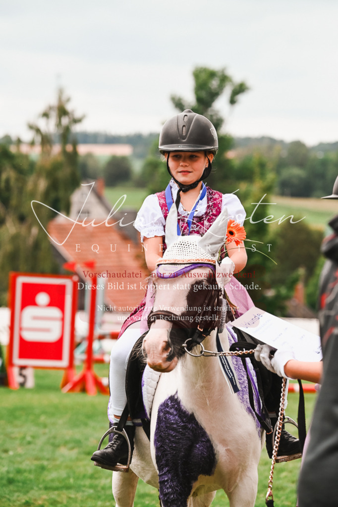 DSC_7480 | Pferde- und Turnierfotografie in Westsachsen. Pferdeportraits, Auftragszeichnungen und intuitive Kunst.