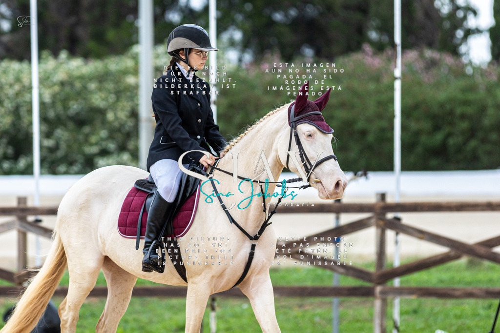 IMG_1387 | s-jay-photography - Realisiert mit Pictrs.com