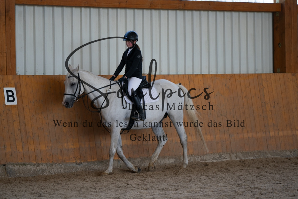 A7V02082 | Turnier/Reitfotograf
