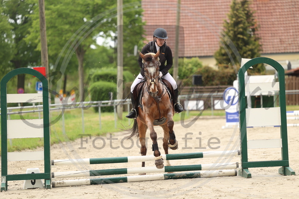 994A8425 | sabrinanicolaifotografie - Realisiert mit Pictrs.com