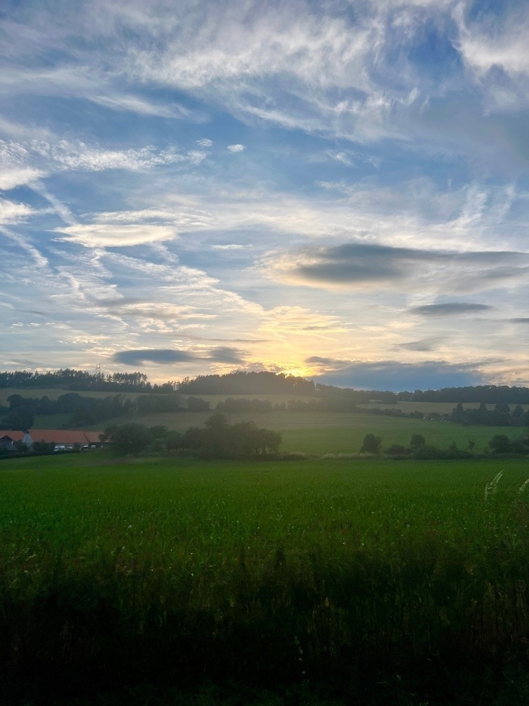 IMG_7478 | ace - Realisiert mit Pictrs.com