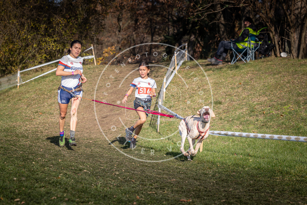 CaniXpix_0L8A8571 | Hundefotografie, Tierfotograf, Pfotenfotografie, Fotoshooting Hund, Hunde Portrait, Hundesport, Hundeportraits, Heideshooting, Hunde, Sportfotograf, Hundefotograf, Turnierhundsport, THS,  - Realisiert mit Pictrs.com