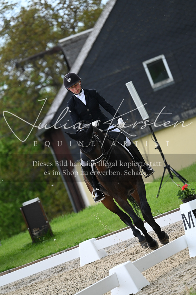 20230512_JK-Röhrsdorf-05-036 | Pferde- und Turnierfotografie in Westsachsen. Pferdeportraits, Auftragszeichnungen und intuitive Kunst.