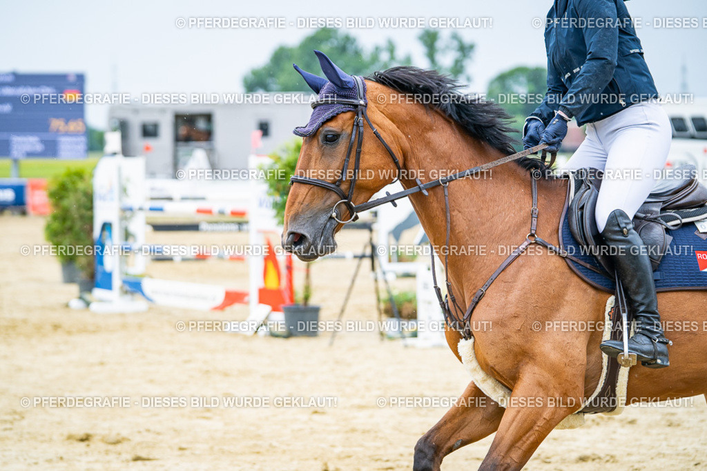 DSC07374 | Pferdegrafie