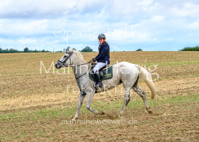 Jagd Knoop 26_MarinaHewigDSCF8752 | Fotografie, FotoArt, PferdesportArt, Pferdesportfotografie, Landschaftsfotografie, Reisefotografie, Reise, Pferde - Realisiert mit Pictrs.com