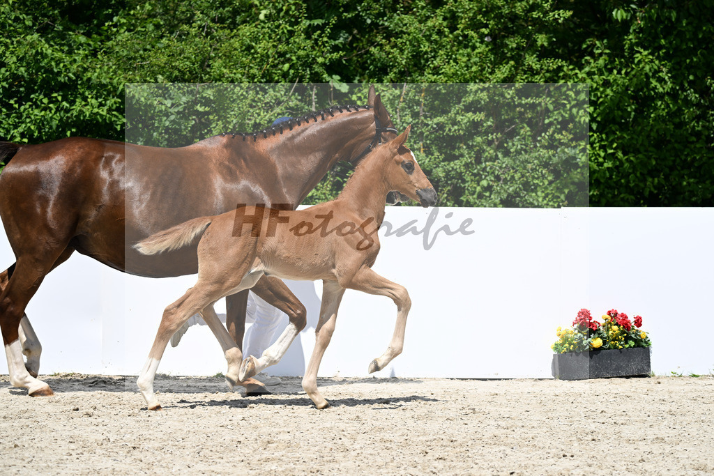 Bonfilio x Zalando_SF_Rief_13251299 | hf-fotografie - Realizzato con Pictrs.com