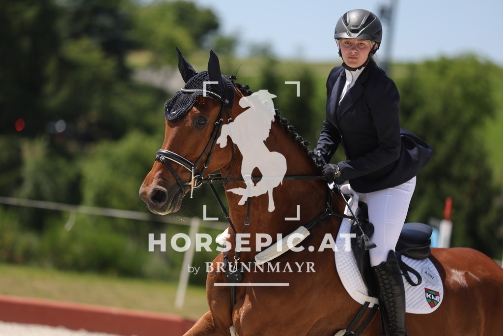 0P6A9247 | Willkommen bei Brunnmayr - Design & Fotografie – Ihrem Spezialisten für Reitturniere und Pferdeveranstaltungen in Oberösterreich, Salzburg und Bayern! Seit über 17 Jahren sind wir leidenschaftlich dabei.