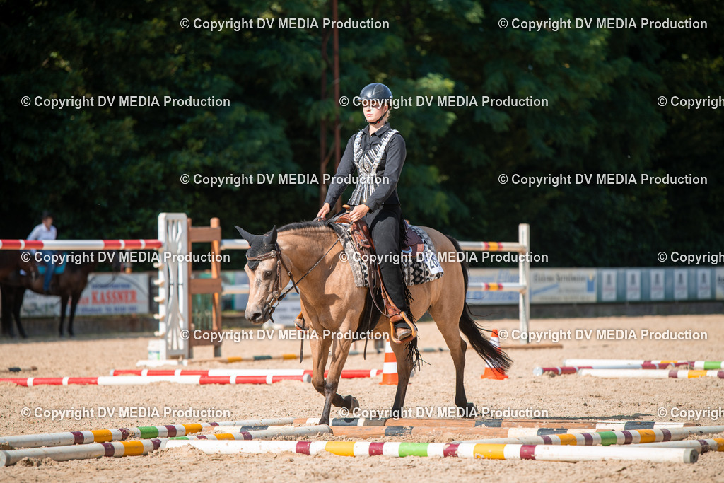 EWP_6941 | dv-media-shop - Realisiert mit Pictrs.com