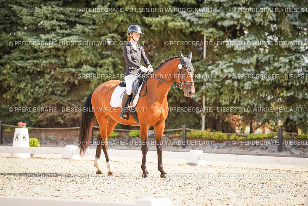 DSC00537 | Pferdegrafie