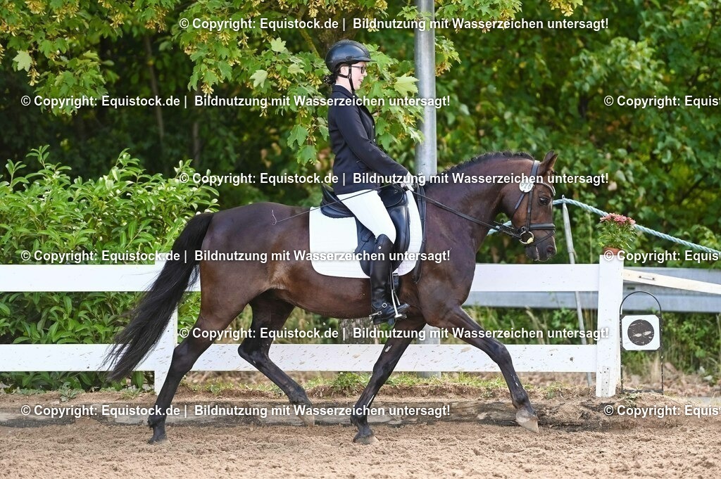 20230716_04_Dressurreiterprüfung Kl.A_0474 | equistock