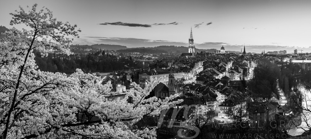 Kirschblüte und Berner Altstadt | Die ideale Geschenkidee für Naturliebhaber. Naturbilder von Marcel Gross Photography für ihr Zuhause in den verschiedensten Formaten und Materialien. - Realisiert mit Pictrs.com