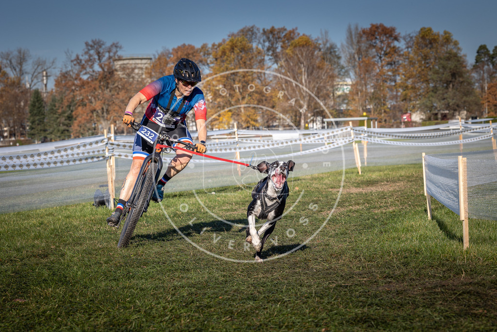 CaniXpix_0L8A4758 | Hundefotografie, Tierfotograf, Pfotenfotografie, Fotoshooting Hund, Hunde Portrait, Hundesport, Hundeportraits, Heideshooting, Hunde, Sportfotograf, Hundefotograf, Turnierhundsport, THS,  - Realisiert mit Pictrs.com