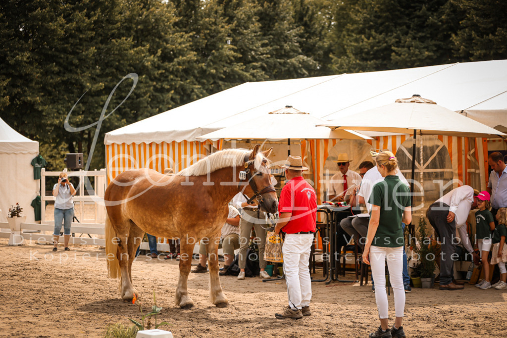 SaSieger00031 | Leoni Ertmer Photography - Realisiert mit Pictrs.com