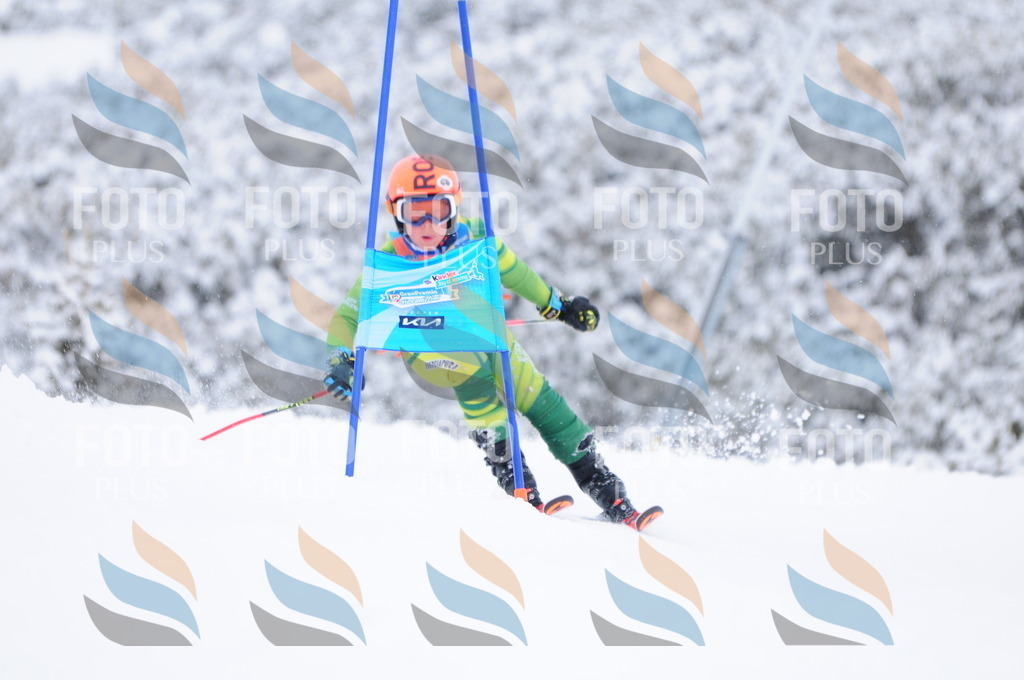 C3881 | holidayphoto