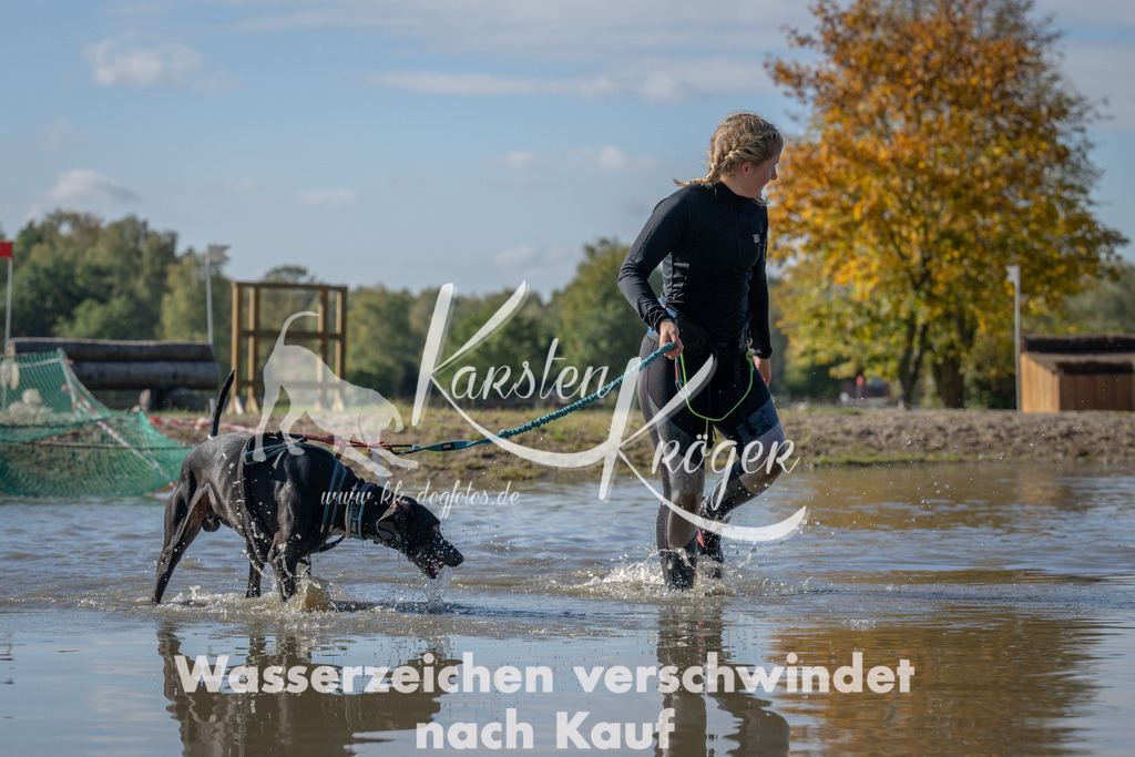 1331_ZZ90753 | kk-dogfotos