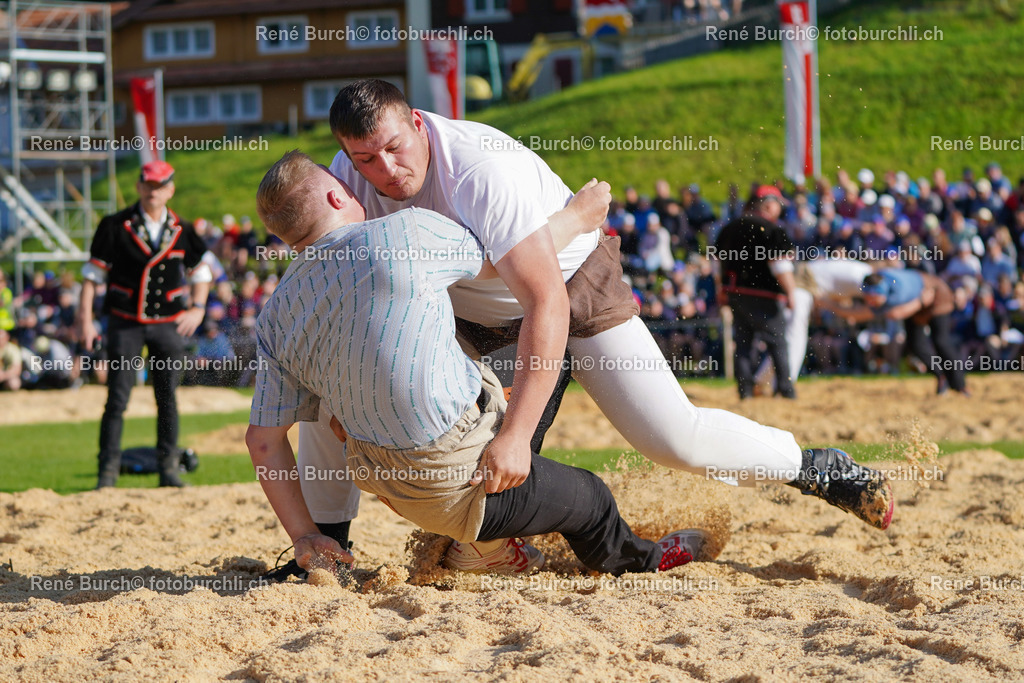 20220515-DSC06255-4 | René Burch leidenschaftlicher Fotograf aus Kerns in Obwalden.  Hier finden sie Sport, Landschaft und Natur Fotografie.
 - Realisiert mit Pictrs.com