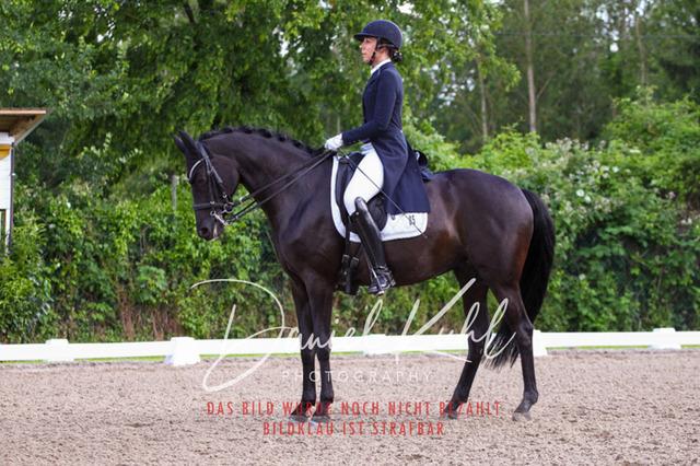 DKP41664 | Turnierfotos kaufen im Webshop von Daniel Kuhl Photography – entdecke professionelle Reitsportfotos aus Turnieren & Events. Hochwertige Turnierbilder online bestellen & sichern. Jetzt Fotos von Reitsportturnieren kaufen!