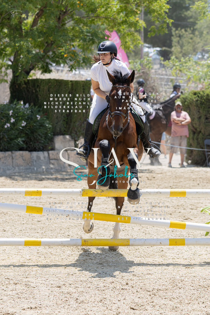 IMG_1565 | s-jay-photography - Realisiert mit Pictrs.com