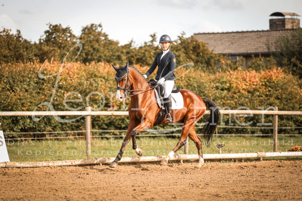 17.SoDrM00266 | Leoni Ertmer Photography - Realisiert mit Pictrs.com