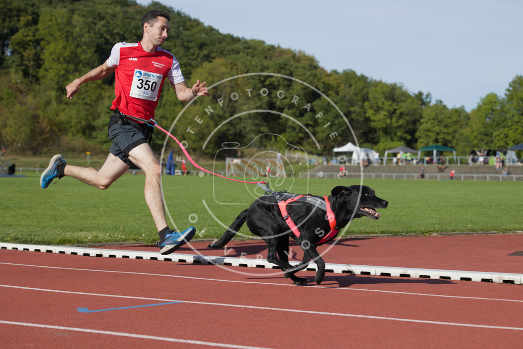 0L8A9618 | Hundefotografie, Tierfotograf, Pfotenfotografie, Fotoshooting Hund, Hunde Portrait, Hundesport, Hundeportraits, Heideshooting, Hunde, Sportfotograf, Hundefotograf, Turnierhundsport, THS,  - Realisiert mit Pictrs.com