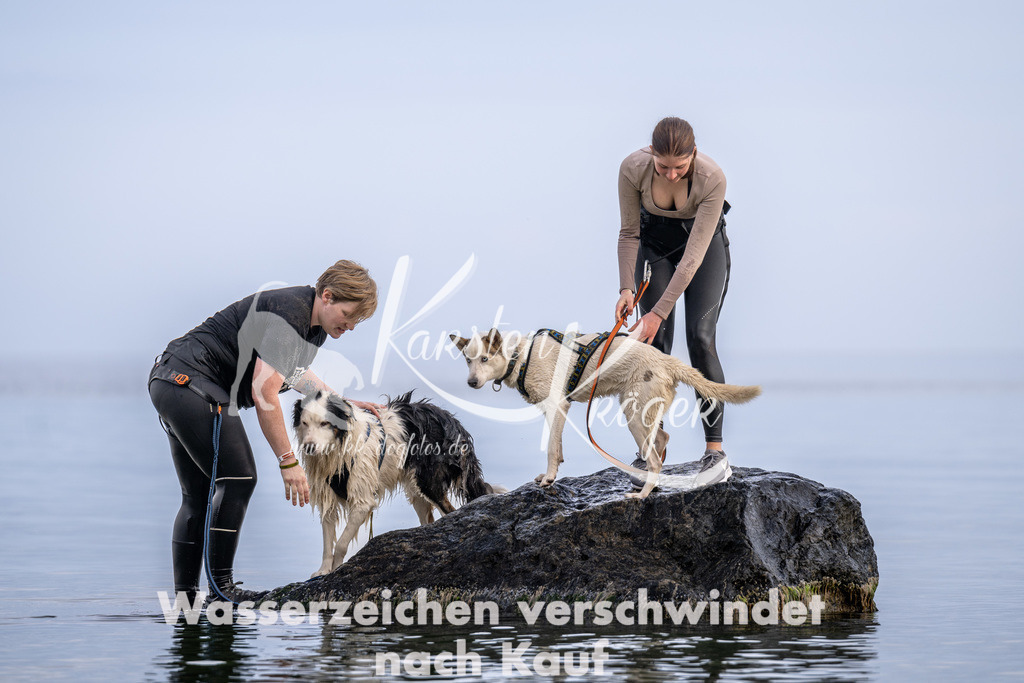 1209_ZZ94943 | kk-dogfotos