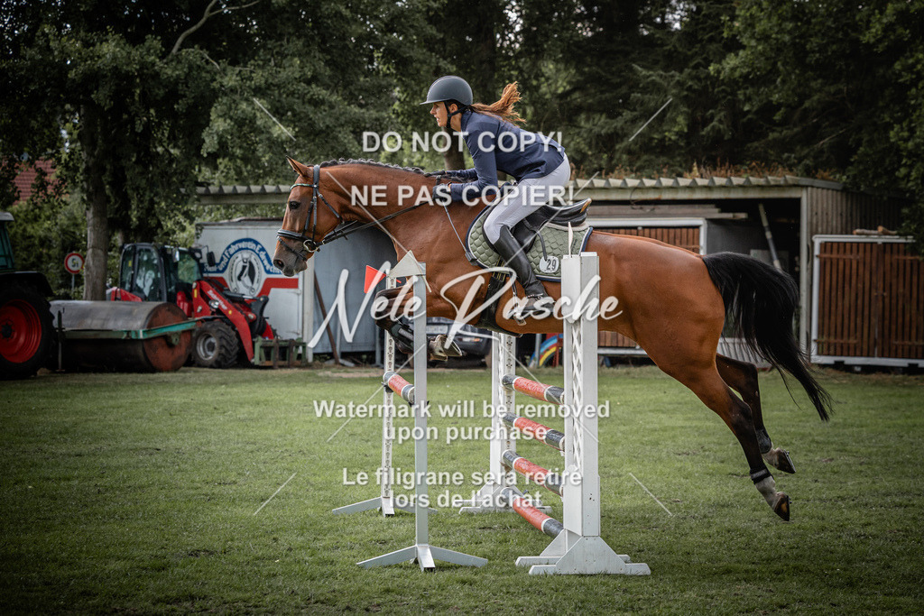 nelerasche_SprA__100Ede_20 | nelerasche