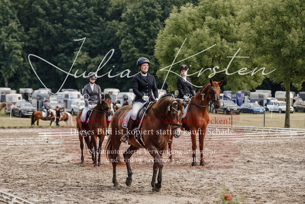 DSC_9331 | Pferde- und Turnierfotografie in Westsachsen. Pferdeportraits, Auftragszeichnungen und intuitive Kunst.