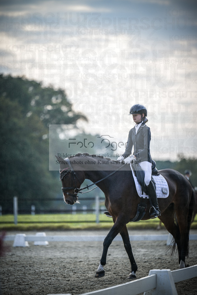DOS_B083 | Entdecke hochwertige Reitturnierfotos von Foto Oger. Professionell, emotional und authentisch – jetzt Lieblingsmomente im Shop bestellen.Deutschlandweite Turnierfotografie. - Realisiert mit Pictrs.com
