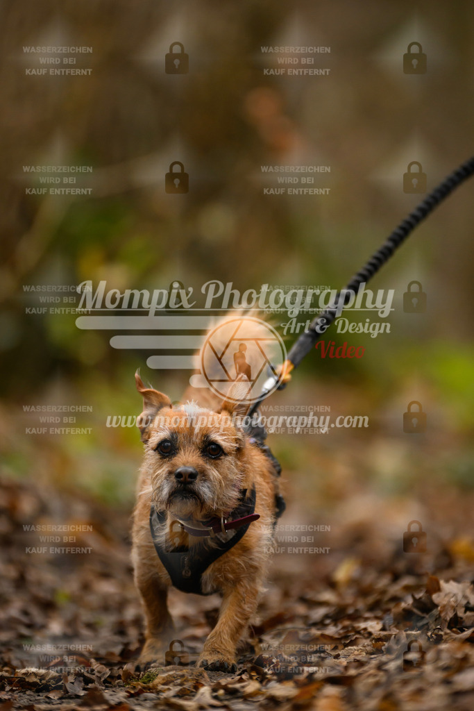 MompixPhotography_Eschau2024_CCC-131 | PayLife