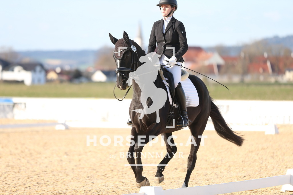 AS8V2172 | Willkommen bei Brunnmayr - Design & Fotografie – Ihrem Spezialisten für Reitturniere und Pferdeveranstaltungen in Oberösterreich, Salzburg und Bayern! Seit über 17 Jahren sind wir leidenschaftlich dabei.