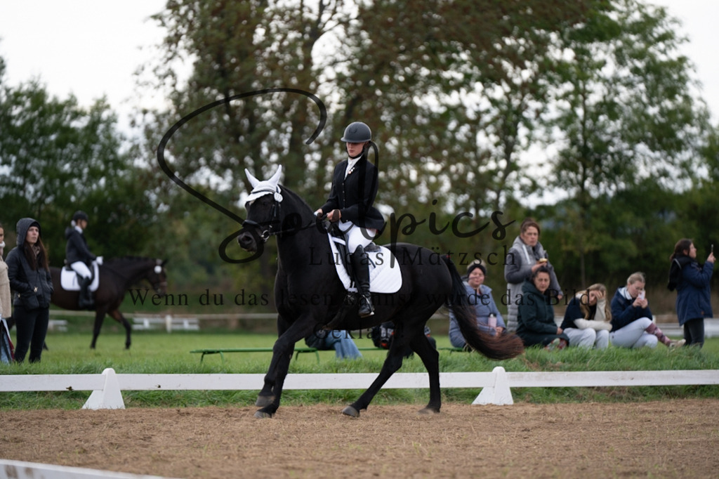 A7V05046 | Pferdefotograf