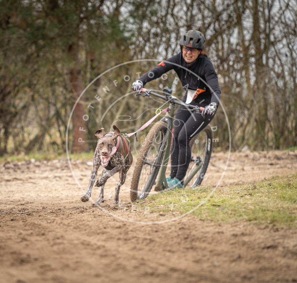Pfotenfotografie_DV3A9489 | Hundefotografie, Tierfotograf, Pfotenfotografie, Fotoshooting Hund, Hunde Portrait, Hundesport, Hundeportraits, Heideshooting, Hunde, Sportfotograf, Hundefotograf, Turnierhundsport, THS,  - Realisiert mit Pictrs.com