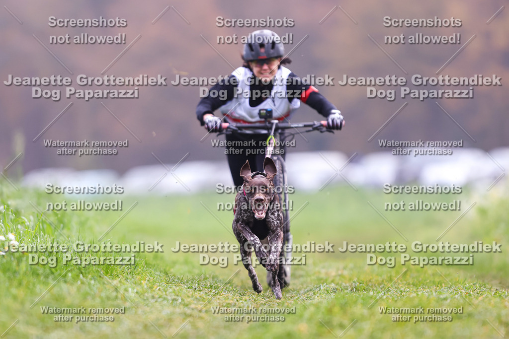 Dog Paparazzi - Visbeck 25 -273 | Dog Paparazzi Jeanette Grottendiek Fotografie & Videografie - Realisiert mit Pictrs.com