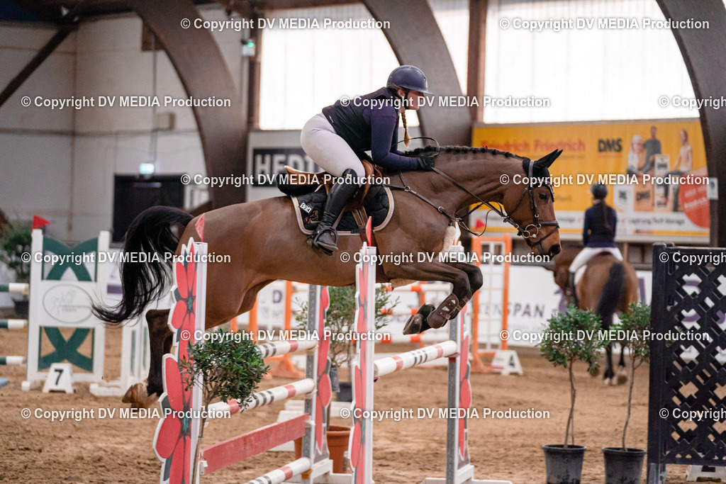 Kranichstein II Tag 1-797 | dv-media-shop - Realisiert mit Pictrs.com