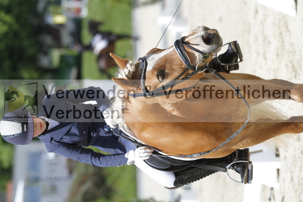 _MG_5144 | equestrian-live-com