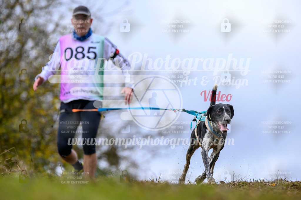 MompixPhotography_2OATB_SO_Run-56 | PayLife