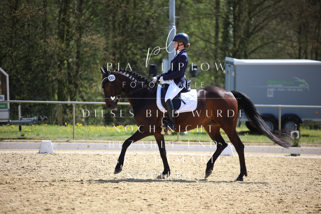 IMGT2751 | pl-fotografie