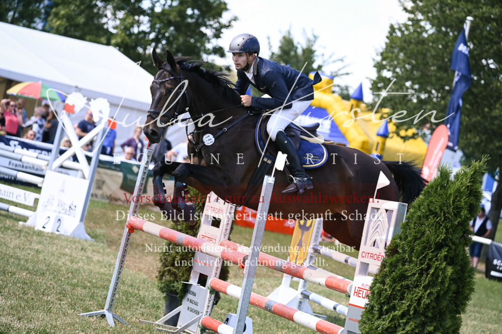 DSC_0160 | Pferde- und Turnierfotografie in Westsachsen. Pferdeportraits, Auftragszeichnungen und intuitive Kunst.