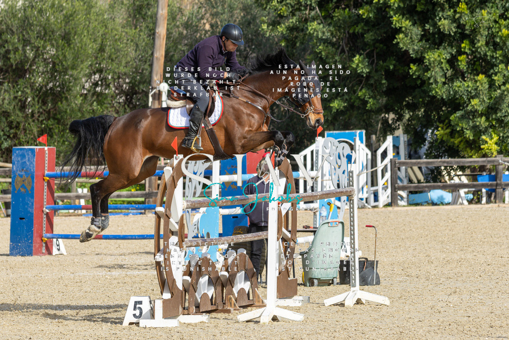 IMG_4611 | s-jay-photography - Realisiert mit Pictrs.com