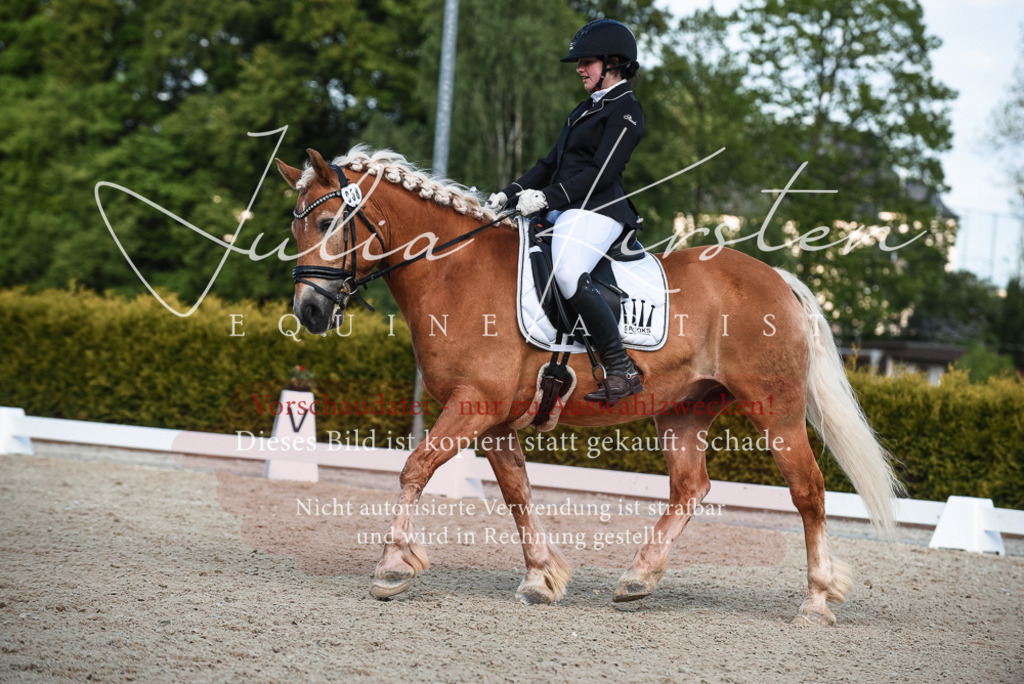 20230518_JK-Röhrsdorf-12-1073 | Pferde- und Turnierfotografie in Westsachsen. Pferdeportraits, Auftragszeichnungen und intuitive Kunst.