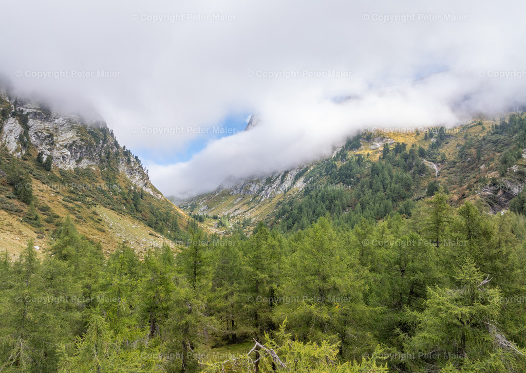 Divers_Erlebnisraum_Wald_23_Peter_Maier-377 | default