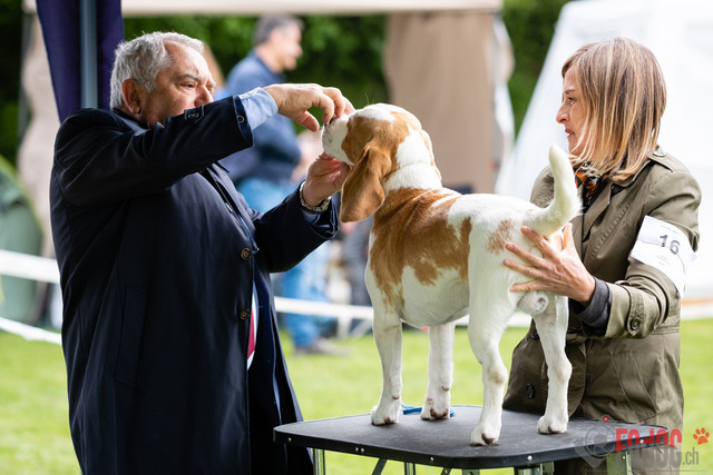 Clubsiegershow BCS  | Clubsiegershow BCS in Villmergen. 14.05.2023 Foto: Leo Wyden