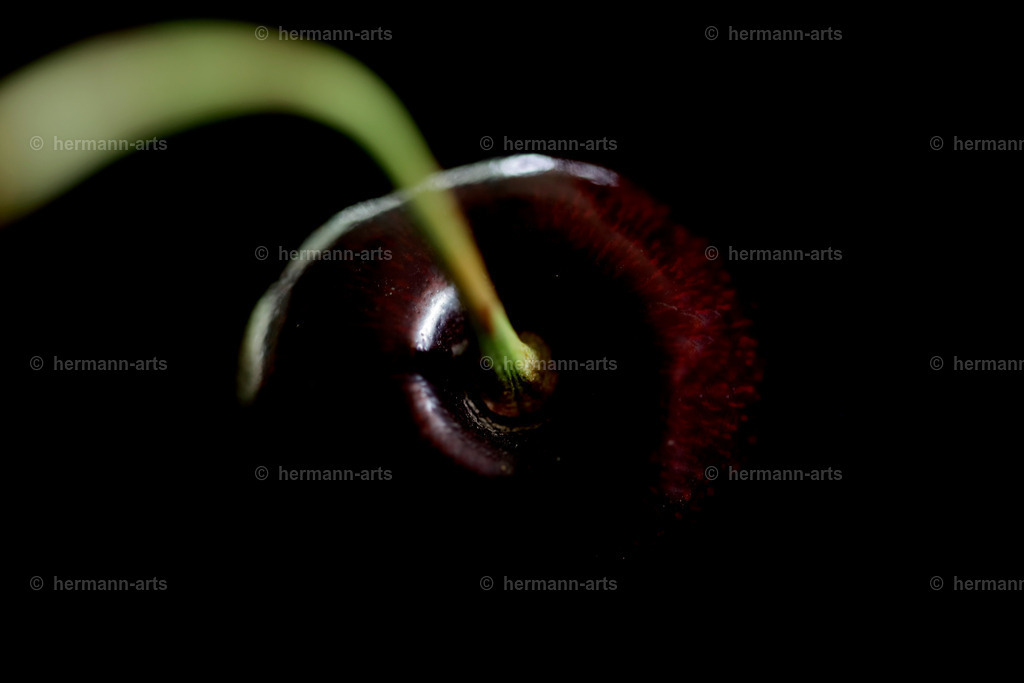 Fruits-Art-059 | Photo Foto Kunst Art schwarzweiss Bilder Rheine Münster Berlin Blumen 