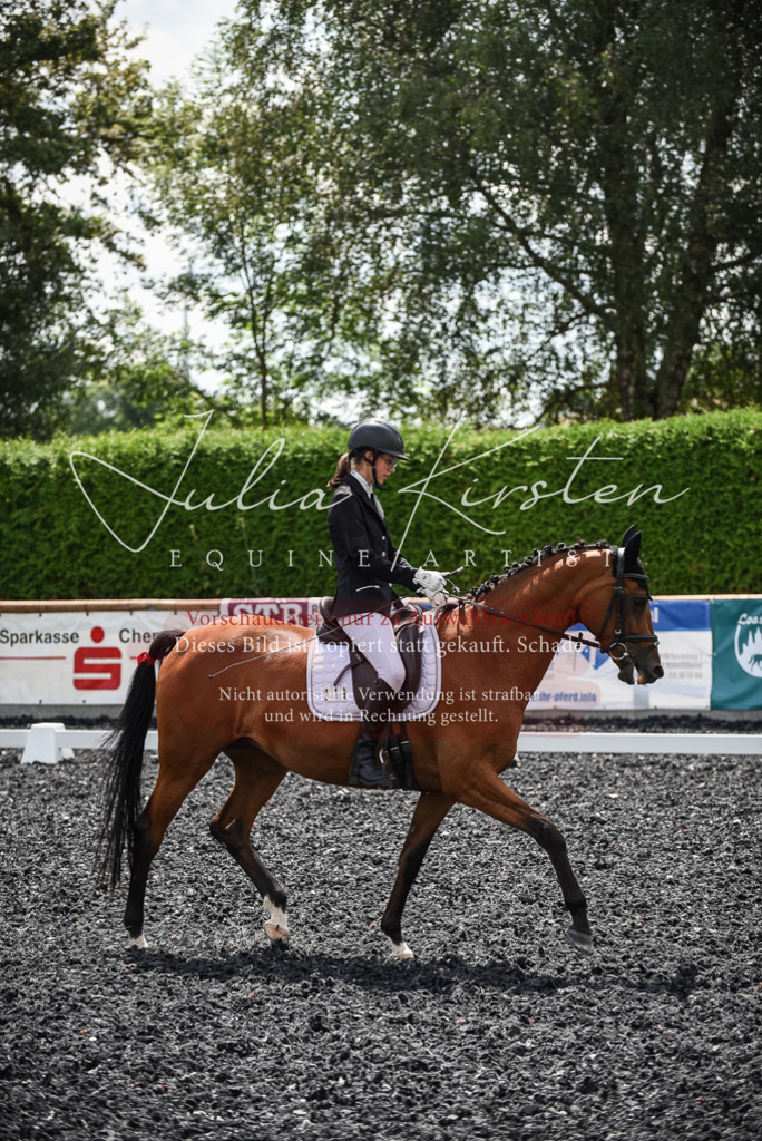 DSC_4356 | Pferde- und Turnierfotografie in Westsachsen. Pferdeportraits, Auftragszeichnungen und intuitive Kunst.