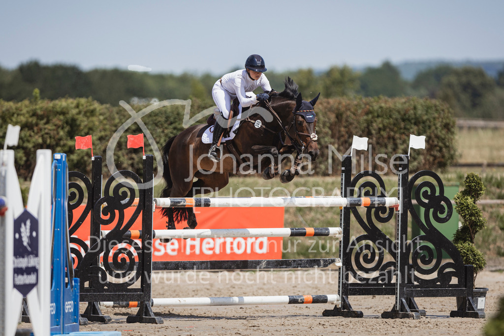 240629_LüPfSpTa_Youngster-S-141 | Deine schönsten Turniermomente als professionelle Fotos! Entdecke hochwertige Pferdesport-Fotografie im Online-Shop. Jetzt Fotos finden & bestellen!