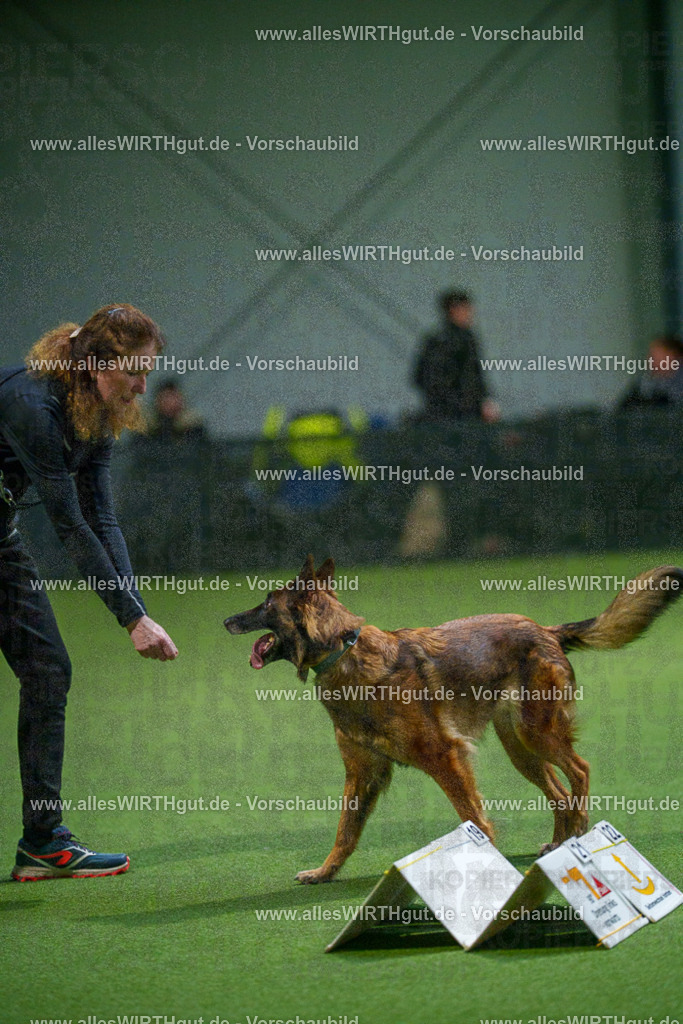 7R500968 | Professionelle Tierfotografie in Mönchengladbach von Daniel Wirth (allesWIRTHgut). Liebevolle & natürliche Bilder von Hunden & Katzen für unvergessliche Erinnerungen.