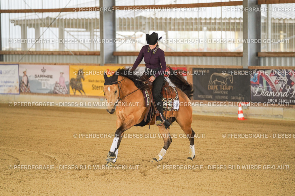 DSC00476 | Pferdegrafie